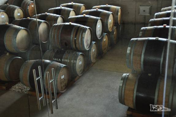 Visitando a vinícola Estampa, no Valle de Colchagua, região de Santa Cruz, ao sul de Santiago, no Chile